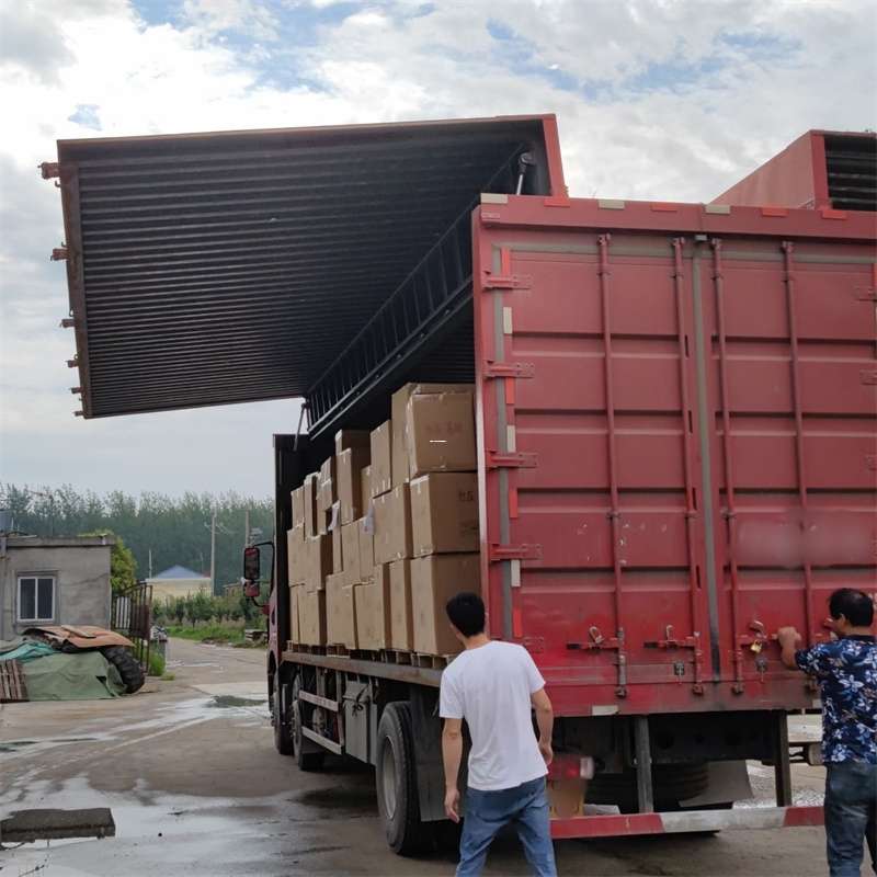 巴彦县扎囊县：物流专线的高效货运之旅